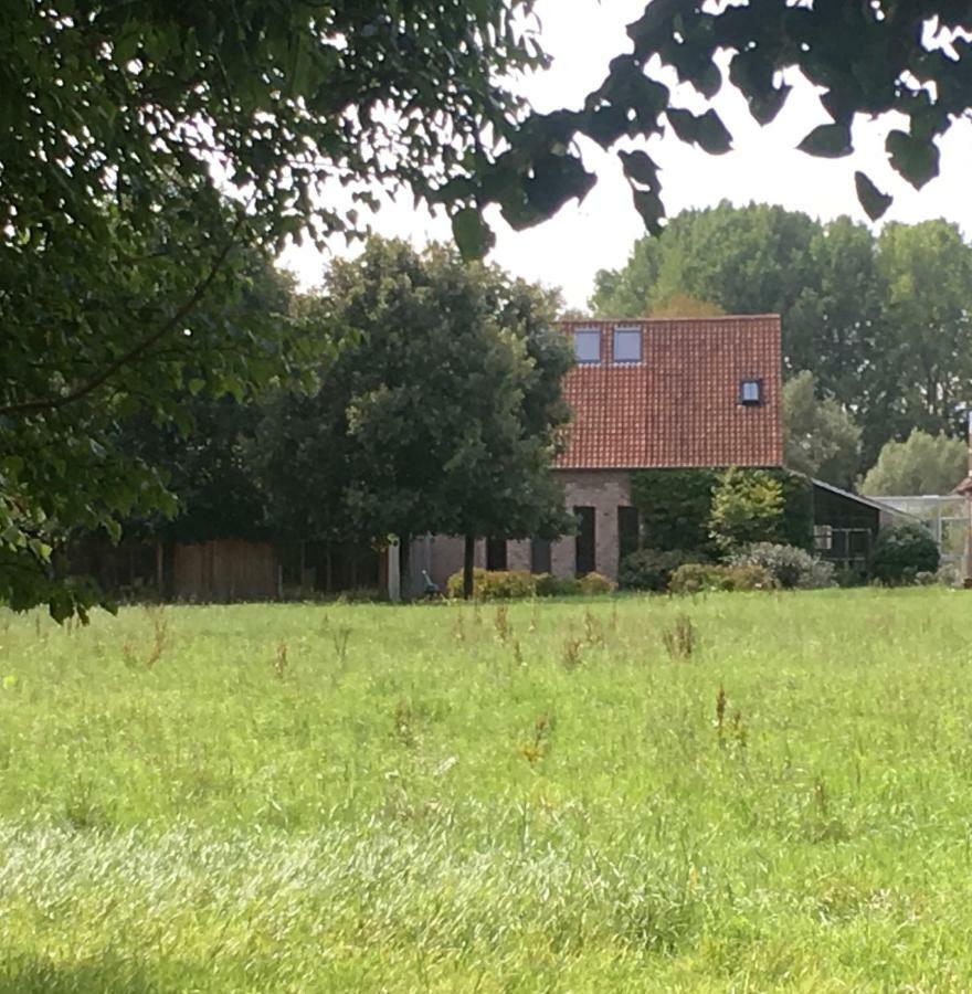 Villa Het Zwaantje Londerzeel Exterior foto